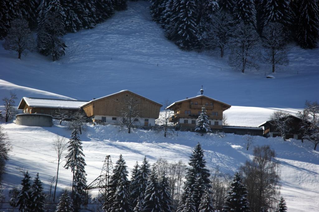 Unterholzhof Séjour à la ferme Piesendorf