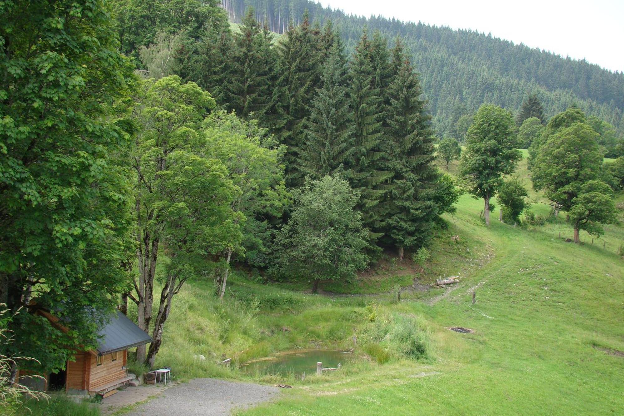 Séjour à la ferme Unterholzhof *